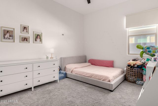 3822 W BUIST Avenue, Laveen, AZ 85339