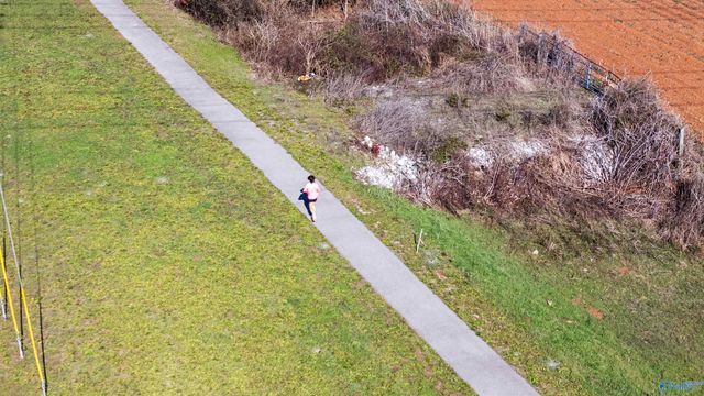 137 Hillis Lane, Hazel Green, AL 35750