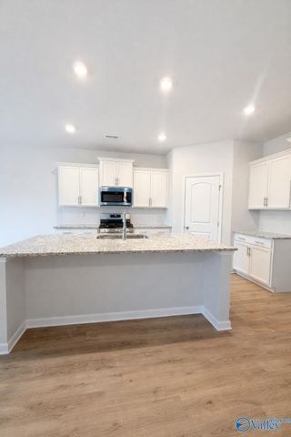 137 Hillis Lane, Hazel Green, AL 35750