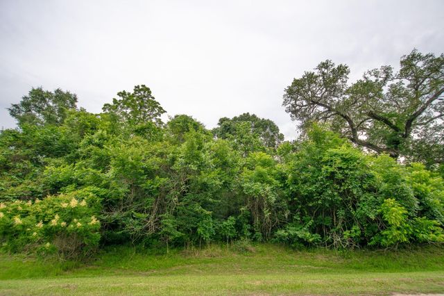 1015 W Point Drive, Rosharon, TX 77583