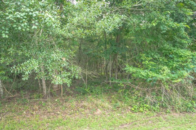 1015 W Point Drive, Rosharon, TX 77583