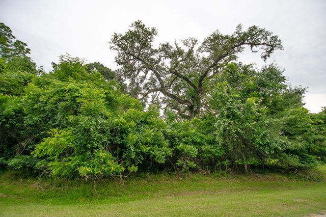 1015 W Point Drive, Rosharon, TX 77583