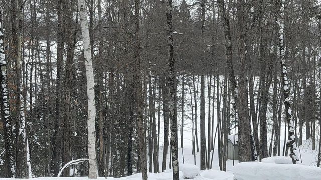 3933 N Kimmear ROAD, Mercer, WI 54547