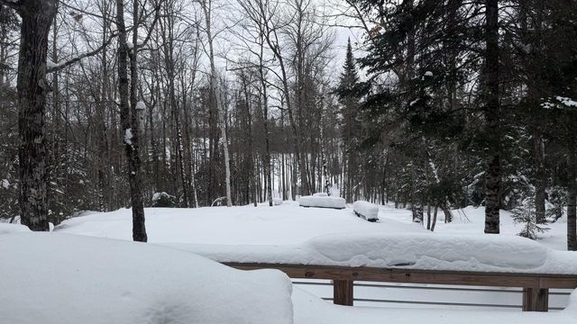 3933 N Kimmear ROAD, Mercer, WI 54547