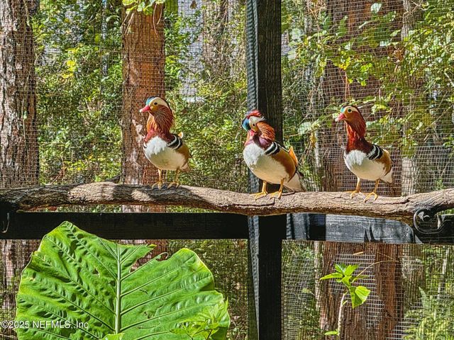 1265 WHISPERING PINES Road, St. Johns, FL 32259