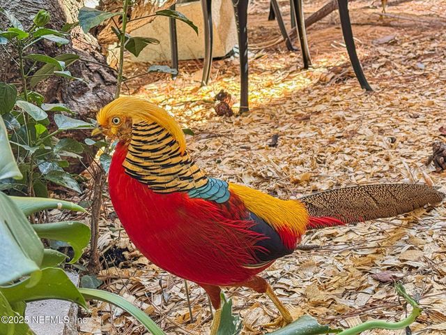 1265 WHISPERING PINES Road, St. Johns, FL 32259