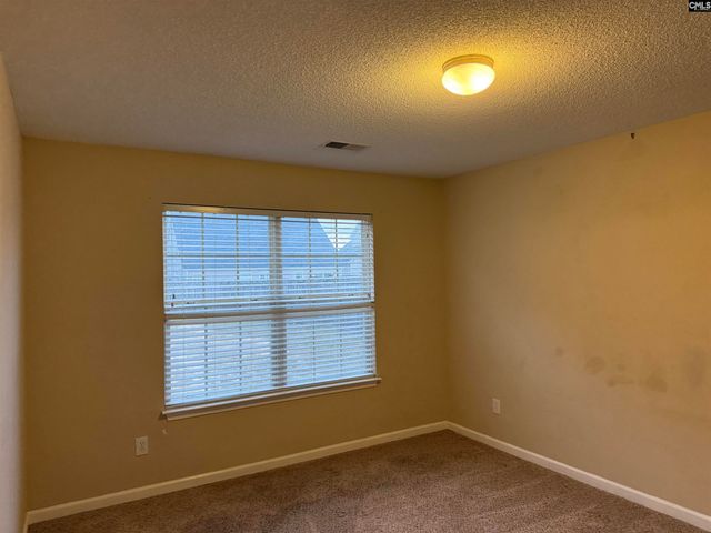 245 Cogburn Road, Columbia, SC 29229