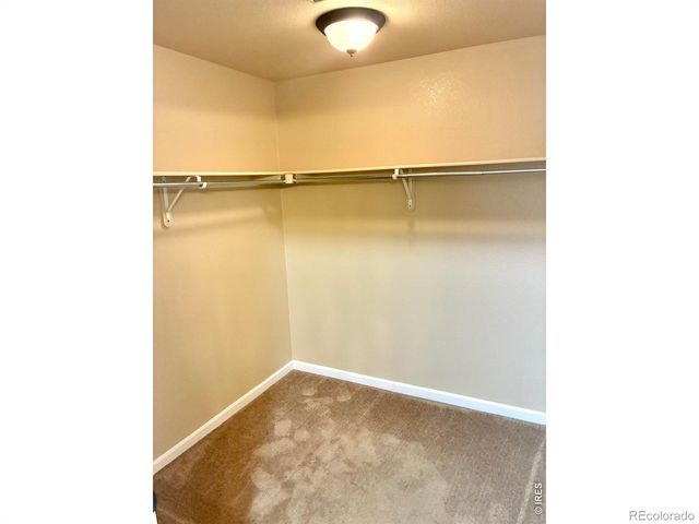 4835 Hahns Peak Drive 203, Loveland, CO 80538