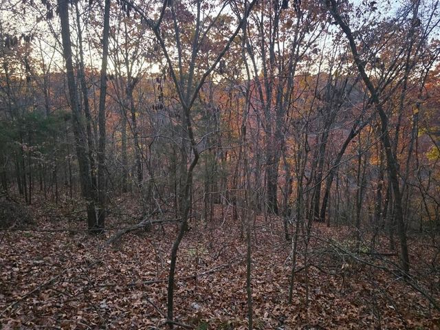 377 Apricot Lane, Reeds Spring, MO 65737