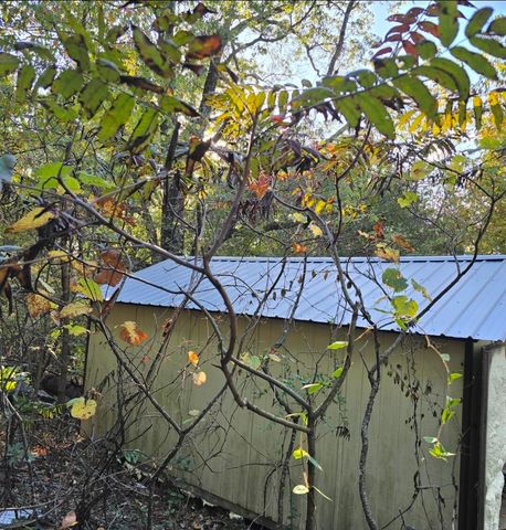 377 Apricot Lane, Reeds Spring, MO 65737