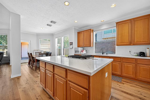 25830 Clear Springs Way, Spring, TX 77373
