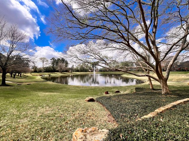 25830 Clear Springs Way, Spring, TX 77373