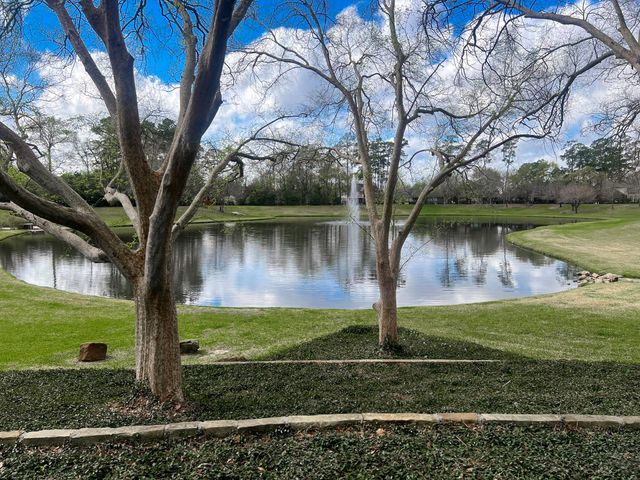 25830 Clear Springs Way, Spring, TX 77373