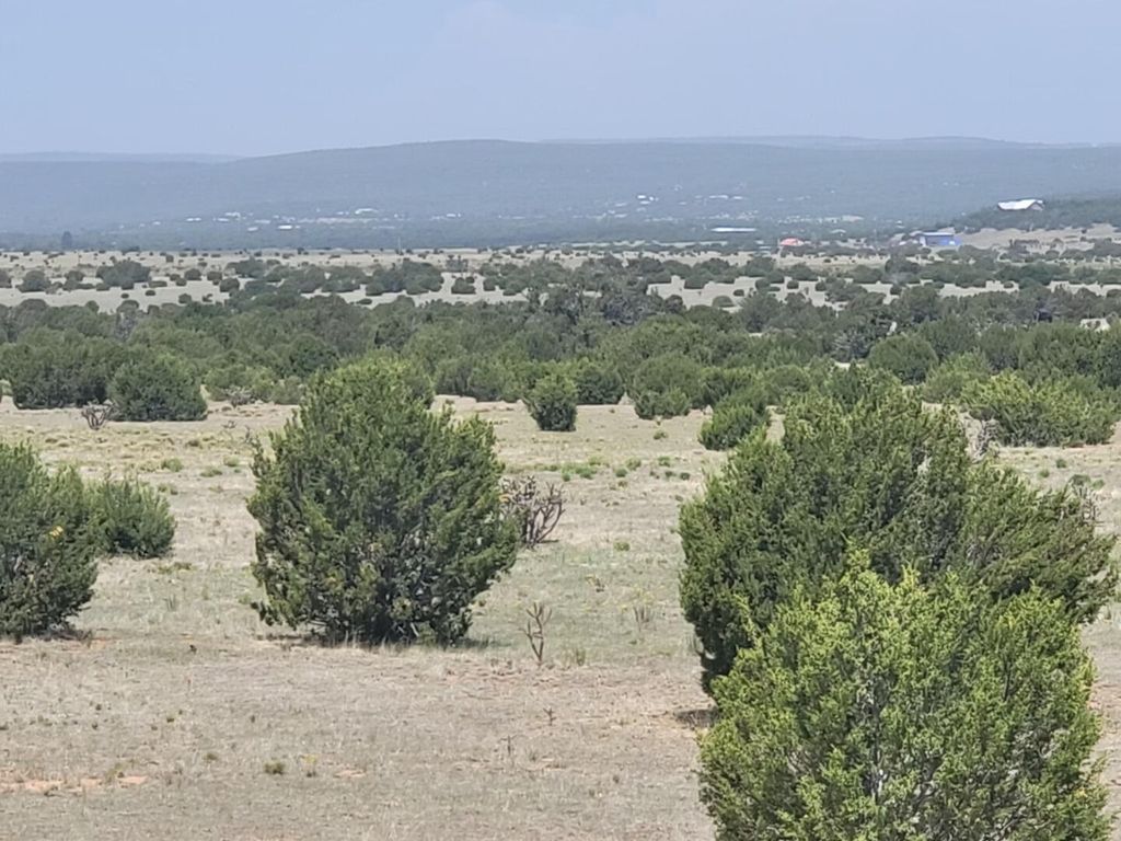 90 Brazos Loop, Estancia, NM 87016