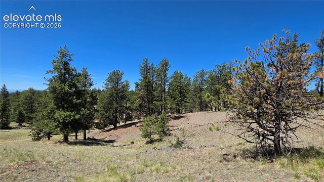 1366 N Mountain Estates Road, Florissant, CO 80816