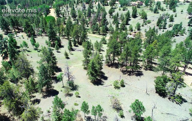 1366 N Mountain Estates Road, Florissant, CO 80816