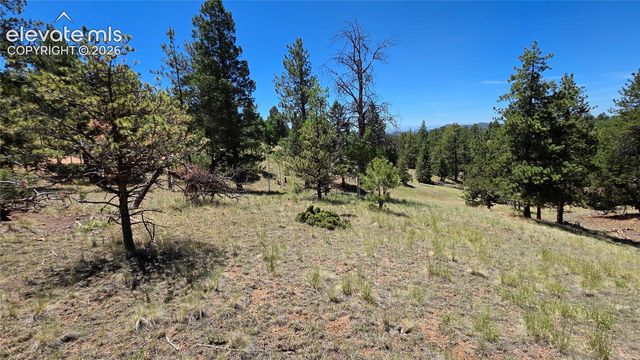 1366 N Mountain Estates Road, Florissant, CO 80816