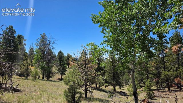1366 N Mountain Estates Road, Florissant, CO 80816
