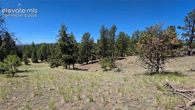 1366 N Mountain Estates Road, Florissant, CO 80816