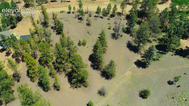 1366 N Mountain Estates Road, Florissant, CO 80816