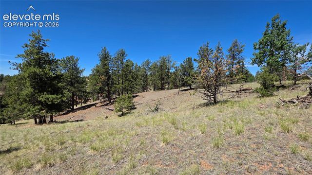 1366 N Mountain Estates Road, Florissant, CO 80816