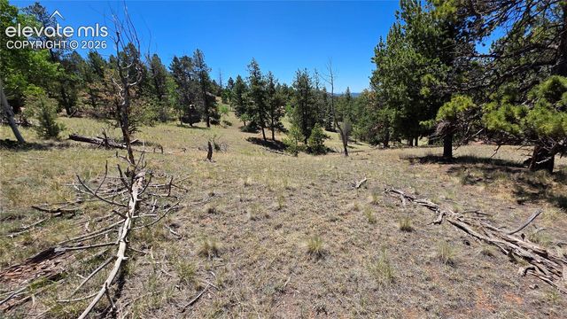 1366 N Mountain Estates Road, Florissant, CO 80816