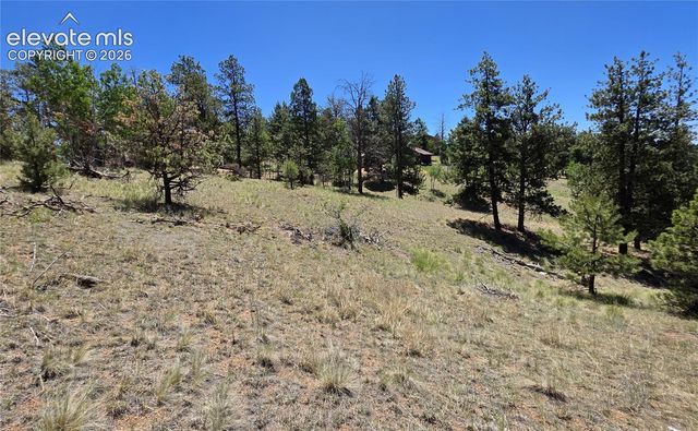 1366 N Mountain Estates Road, Florissant, CO 80816