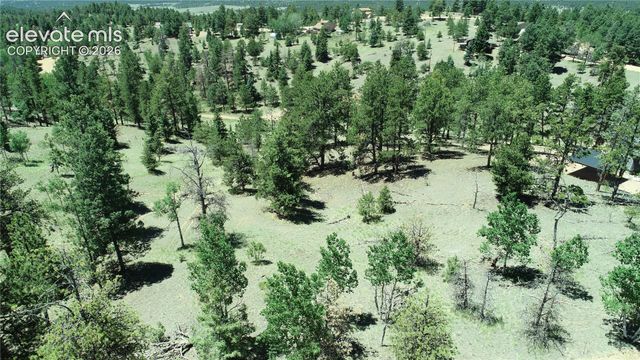 1366 N Mountain Estates Road, Florissant, CO 80816