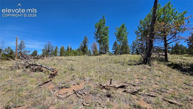 1366 N Mountain Estates Road, Florissant, CO 80816