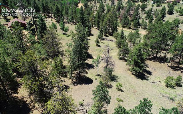 1366 N Mountain Estates Road, Florissant, CO 80816
