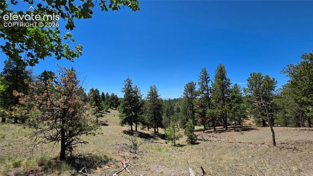 1366 N Mountain Estates Road, Florissant, CO 80816