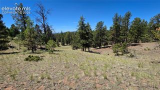 1366 N Mountain Estates Road, Florissant, CO 80816