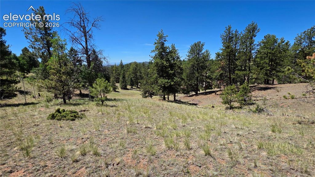 1366 N Mountain Estates Road, Florissant, CO 80816