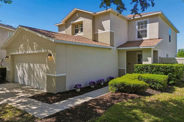 9515 SIMEON DRIVE, Land O Lakes, FL 34638