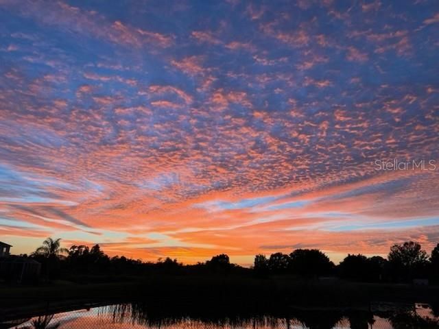 9515 SIMEON DRIVE, Land O Lakes, FL 34638