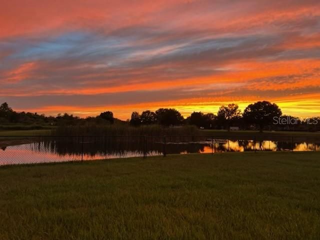 9515 SIMEON DRIVE, Land O Lakes, FL 34638
