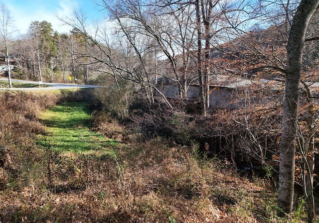 60 Weaver Creek Road, Blue Ridge, GA 30513