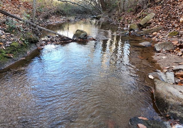 60 Weaver Creek Road, Blue Ridge, GA 30513