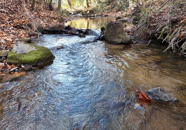 60 Weaver Creek Road, Blue Ridge, GA 30513