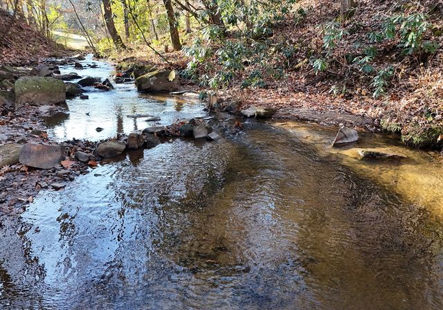 60 Weaver Creek Road, Blue Ridge, GA 30513