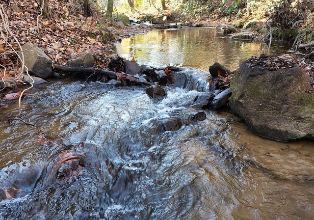 60 Weaver Creek Road, Blue Ridge, GA 30513