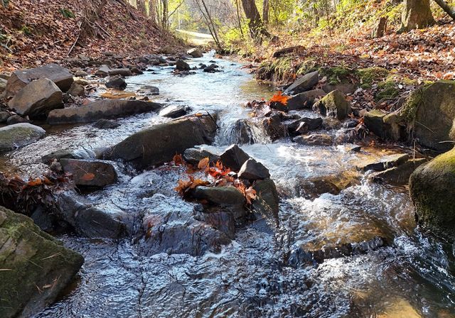 60 Weaver Creek Road, Blue Ridge, GA 30513