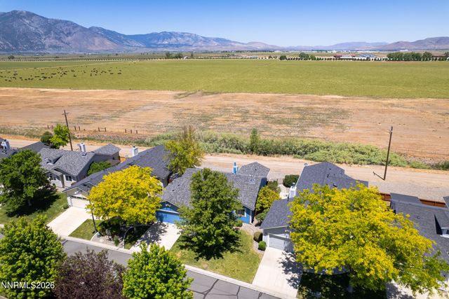1163 White Oak Loop, Minden, NV 89423