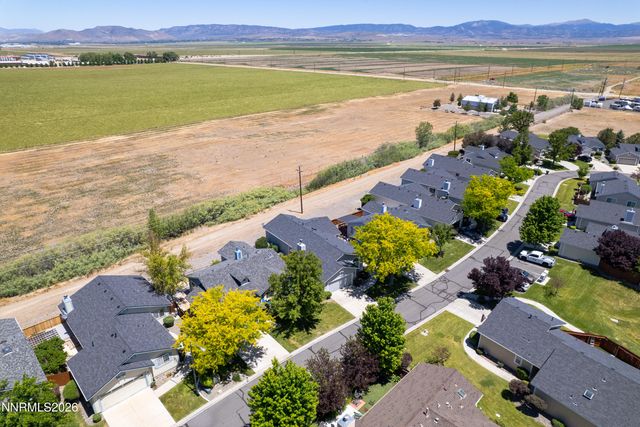 1163 White Oak Loop, Minden, NV 89423