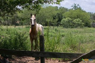 3508 Moulton Road, Gonzales, TX 78629