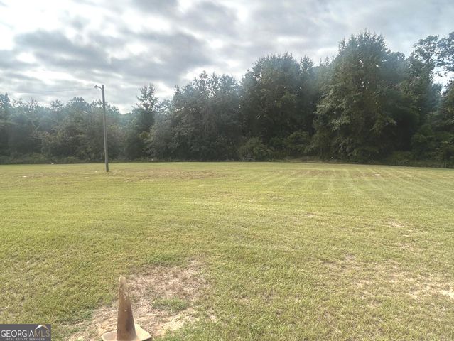 114 McCarthy Drive, Buena Vista, GA 31803