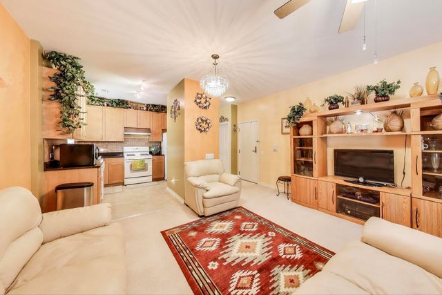 1016 S Racine Avenue 201, Chicago, IL 60607