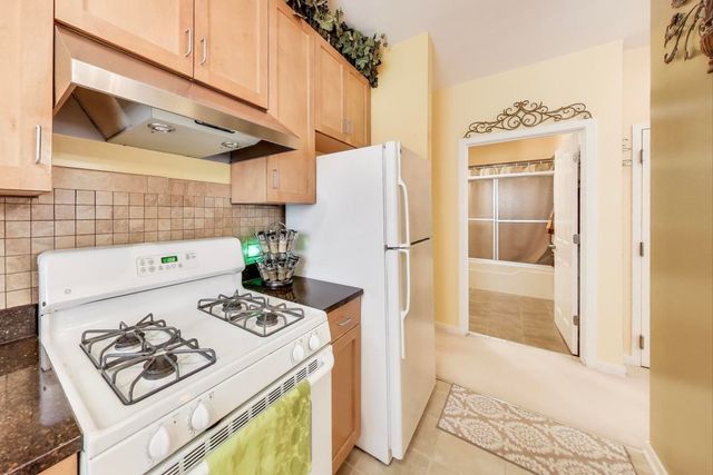 1016 S Racine Avenue 201, Chicago, IL 60607