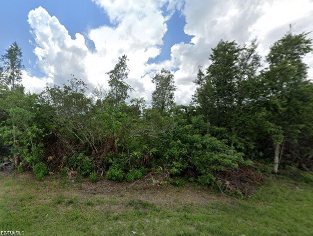 441 Thelma CT, LEHIGH ACRES, FL 33972 — photo 3