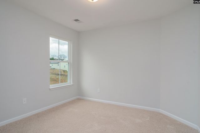 631 Thunder Gulch Avenue, Lexington, SC 29073